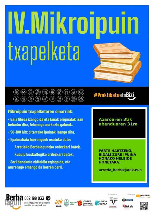 IV. Mikroipuin Txapelketea
